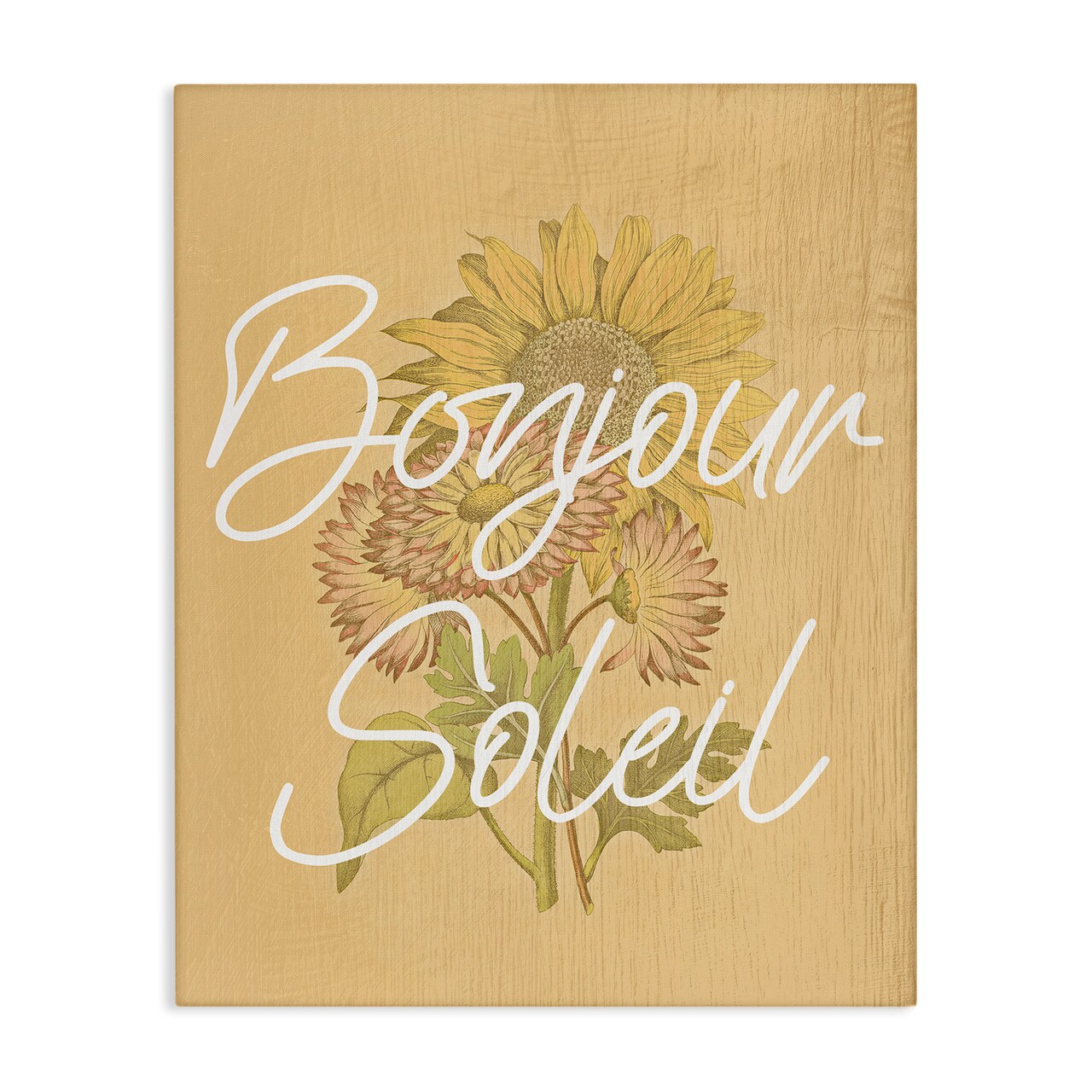 Stupell Industries Hello Sunshine French Phrase Canvas Design by Lil' Rue